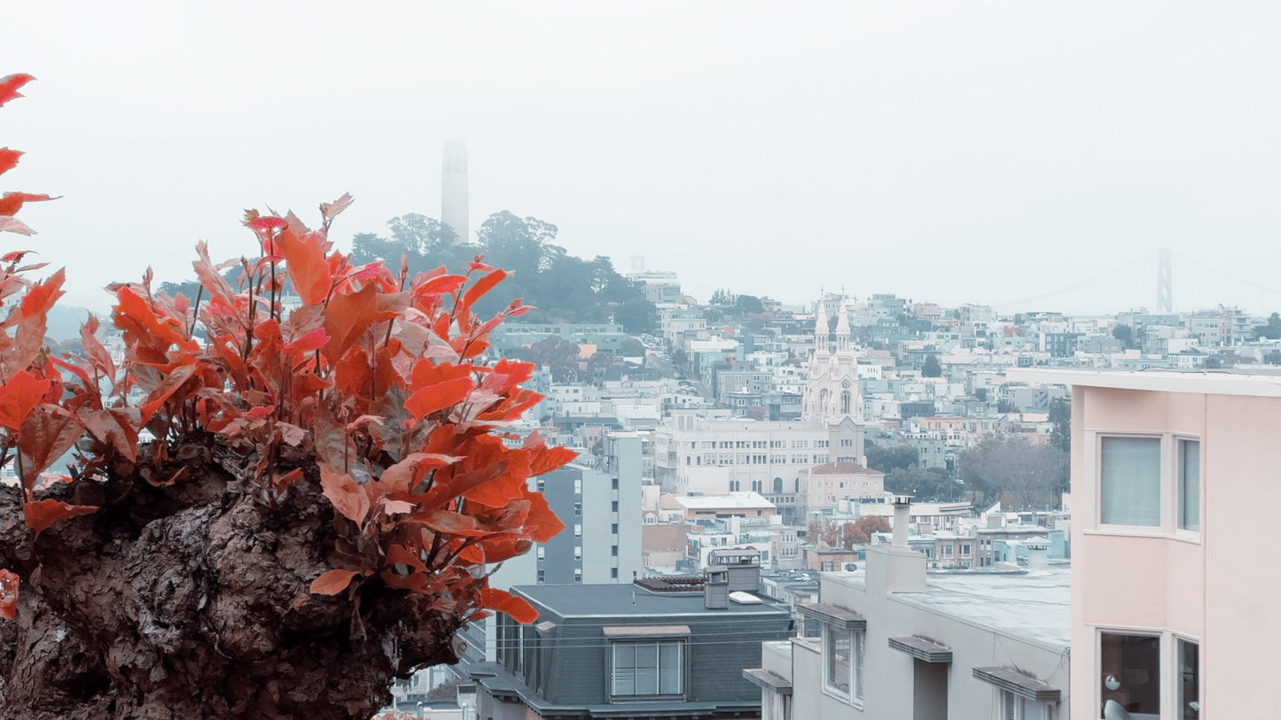 Frozen Pastel LUT