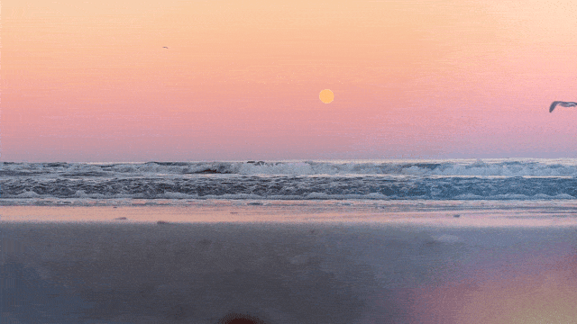 Light Leaks Effect