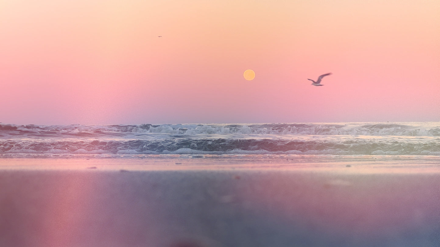 Light Leaks Effect