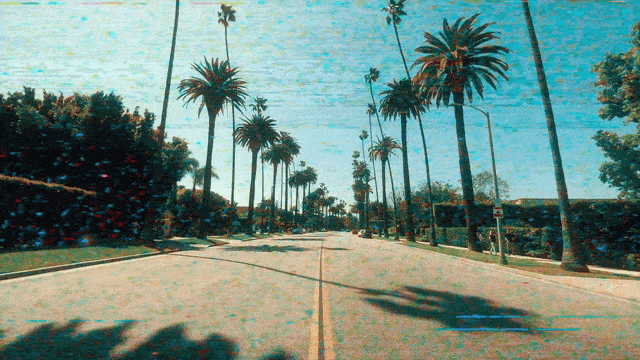 Transitions Bundle
