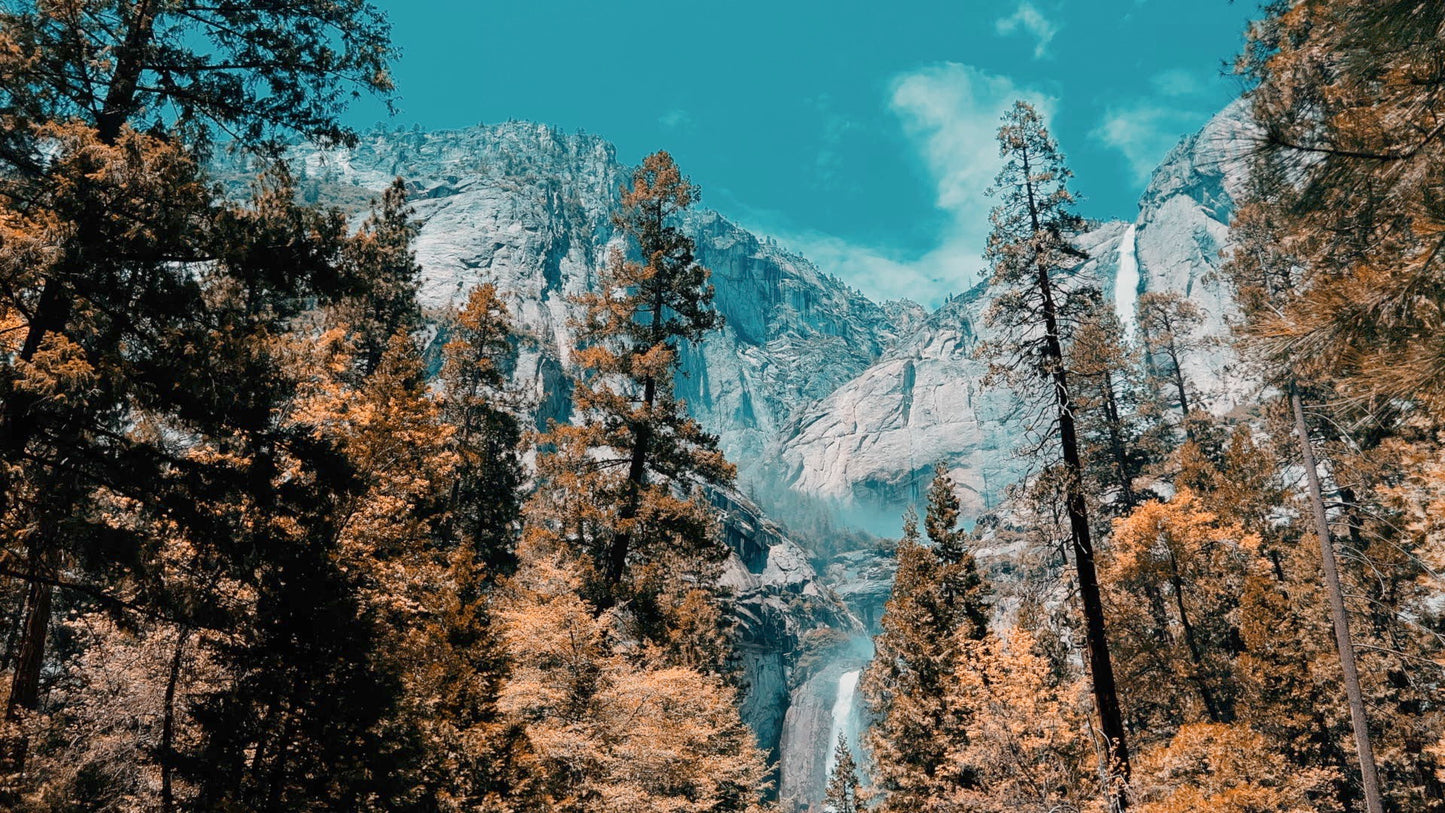 Warm Teal LUT